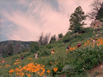 A color photograph of students walking on an ascending trail. There are bright orange flowers in the foreground.